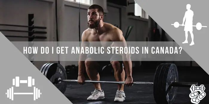 https://proroid.ca/